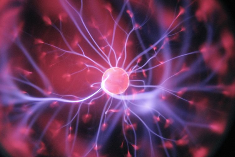 Psychology Careers You’ve Never Heard Of