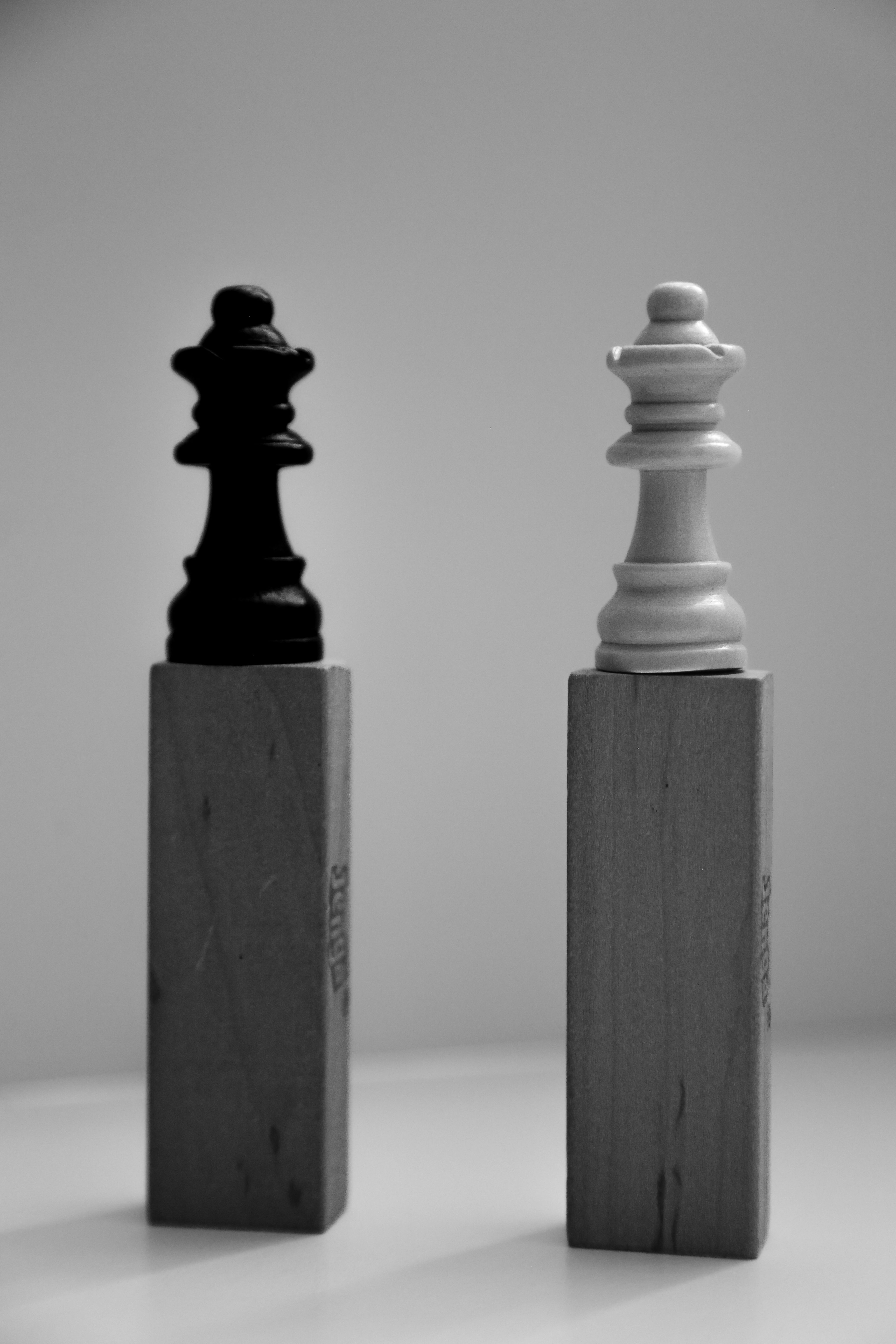 a black and white photo of two chess pieces
