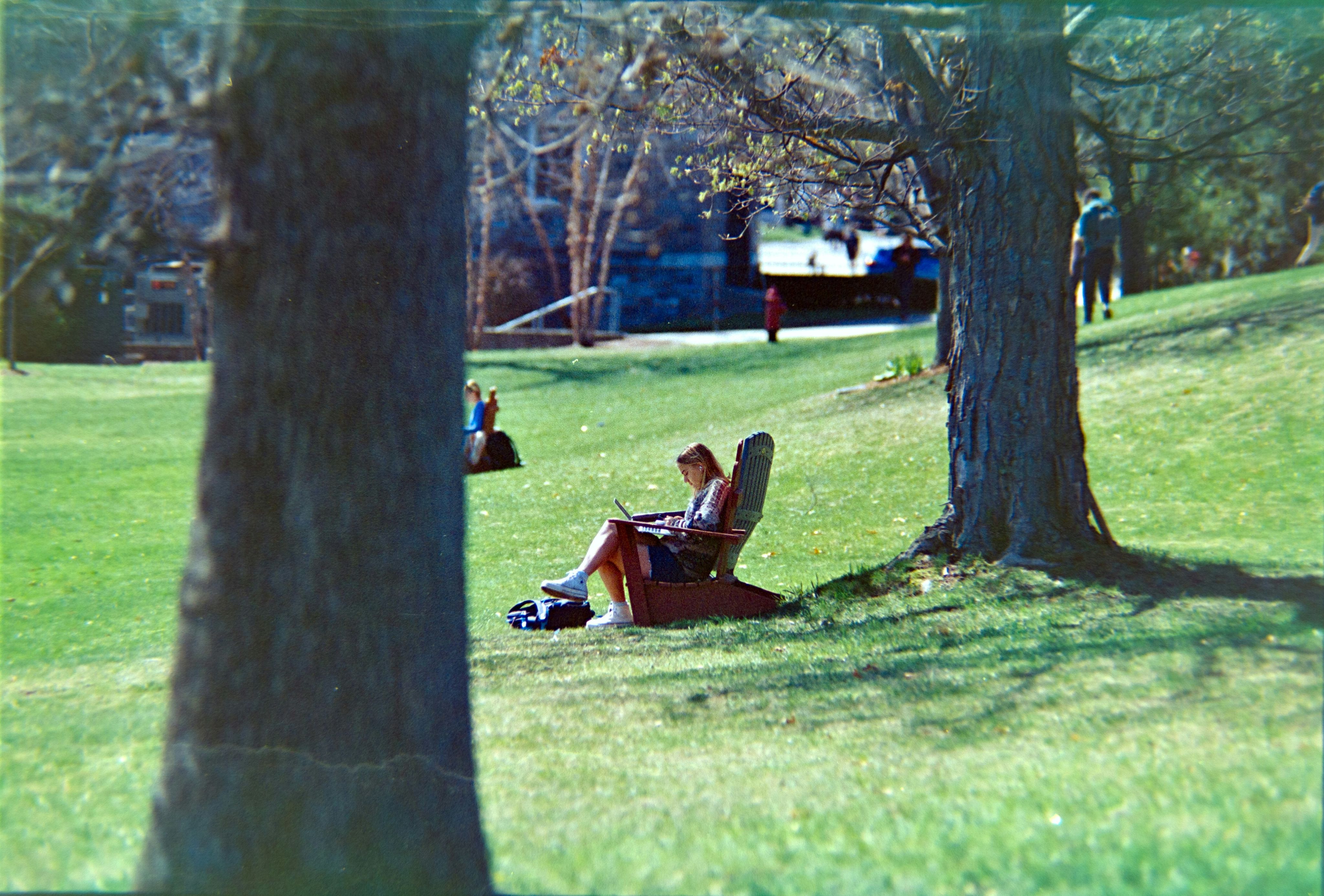 Woman reading in a chair under a tree