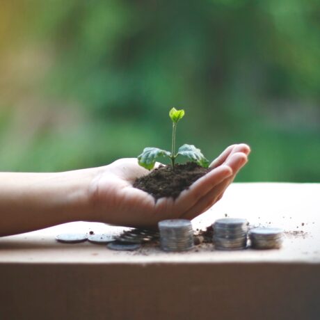 Green Skills: Why Sustainability Is Becoming Part of Every Career