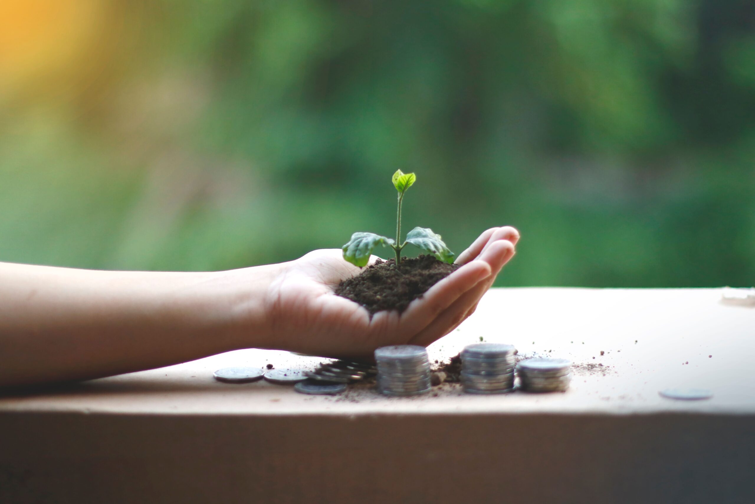 Green Skills: Why Sustainability Is Becoming Part of Every Career